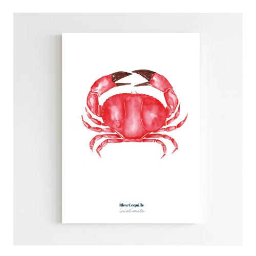 Grande Affiche Crabe Rouge