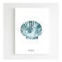 Affiche A4 Coquille Bleue